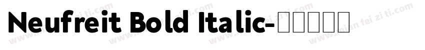 Neufreit Bold Italic字体转换